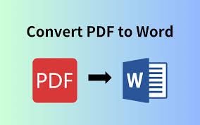 PDF TO Word